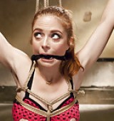 BDSM For All